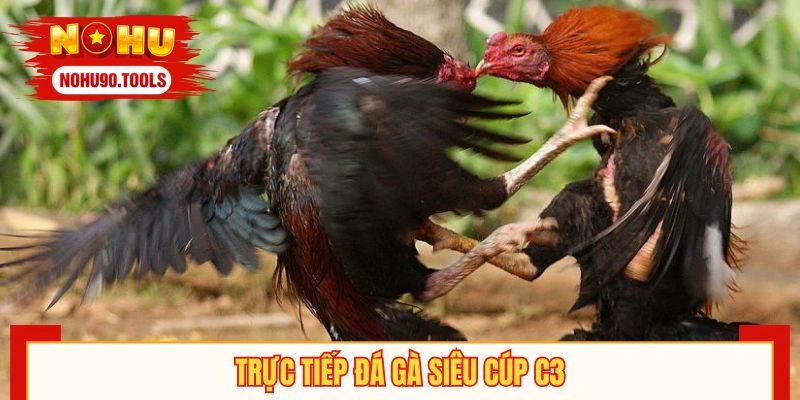 Điểm mạnh khi trải nghiệm đá gà siêu cúp C3